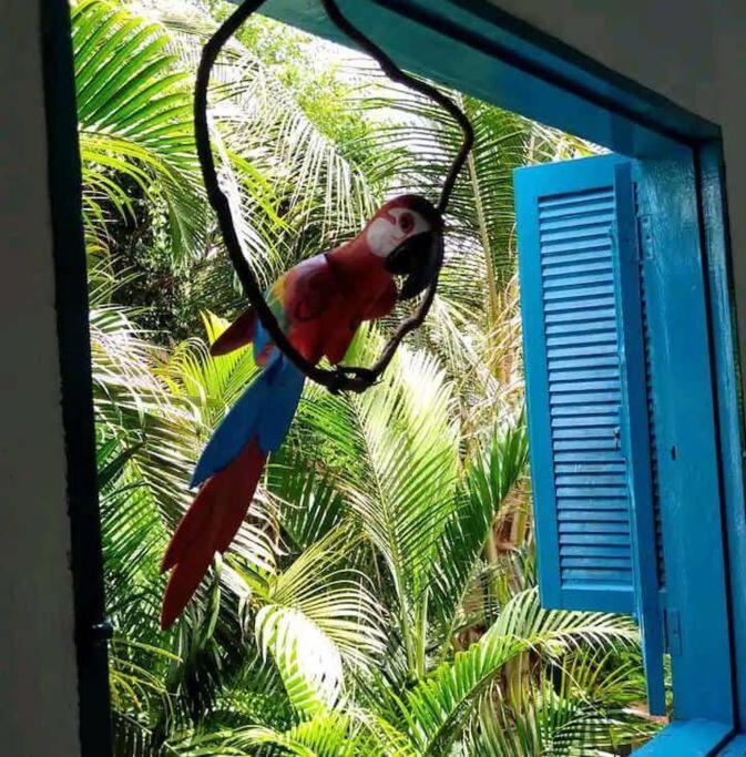 Casa Ilhabela A Cinco Minutos Do Centro Villa Bagian luar foto